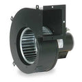 DAYTON 1TDV4 Blower, 310 cfm, 115V, 0.86A, 1650 rpm