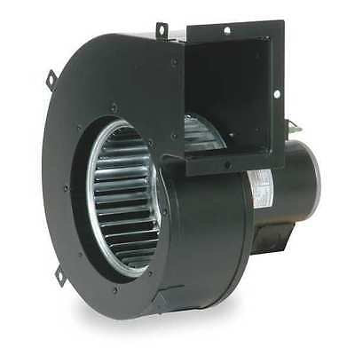 DAYTON 1TDV4 Blower, 310 cfm, 115V, 0.86A, 1650 rpm